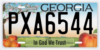 GA license plate PXA6544