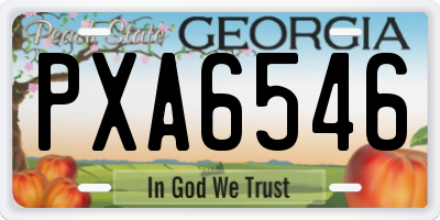 GA license plate PXA6546