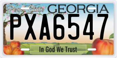 GA license plate PXA6547