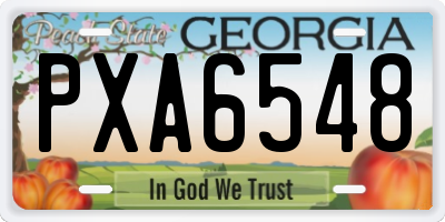 GA license plate PXA6548