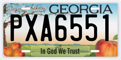 GA license plate PXA6551