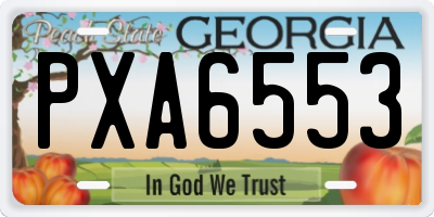 GA license plate PXA6553