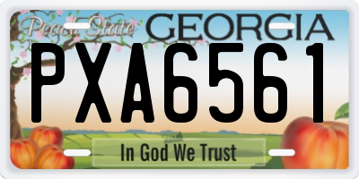 GA license plate PXA6561