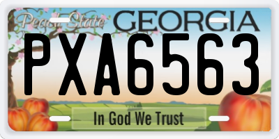 GA license plate PXA6563