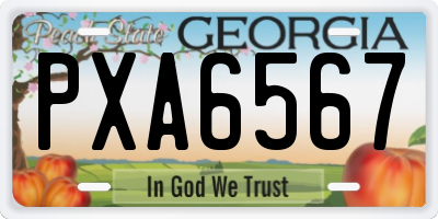 GA license plate PXA6567