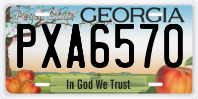 GA license plate PXA6570