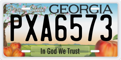 GA license plate PXA6573
