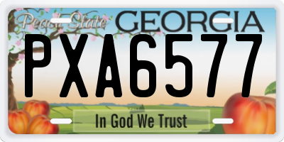 GA license plate PXA6577