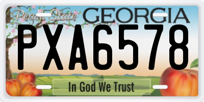 GA license plate PXA6578