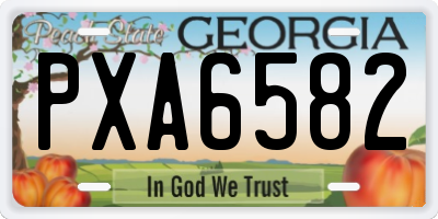 GA license plate PXA6582