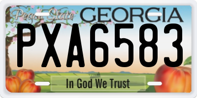 GA license plate PXA6583