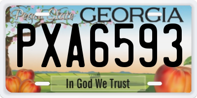 GA license plate PXA6593