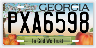 GA license plate PXA6598