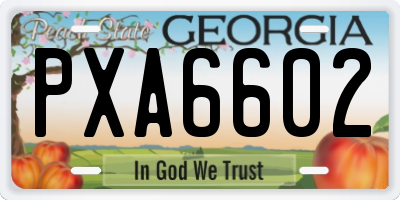 GA license plate PXA6602
