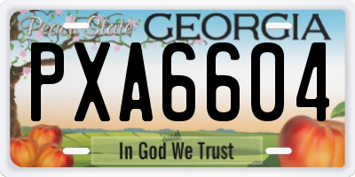 GA license plate PXA6604