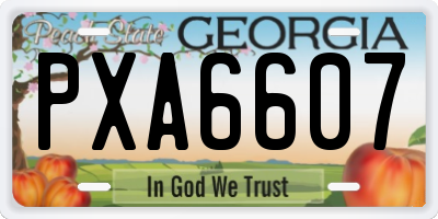 GA license plate PXA6607