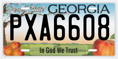 GA license plate PXA6608