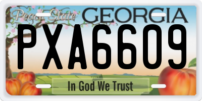 GA license plate PXA6609