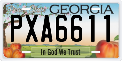 GA license plate PXA6611