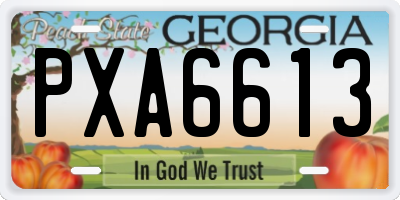 GA license plate PXA6613