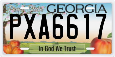 GA license plate PXA6617