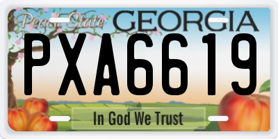 GA license plate PXA6619