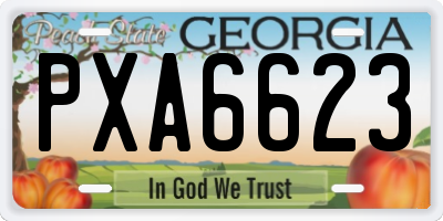 GA license plate PXA6623