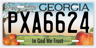 GA license plate PXA6624