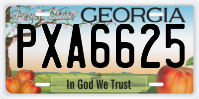 GA license plate PXA6625