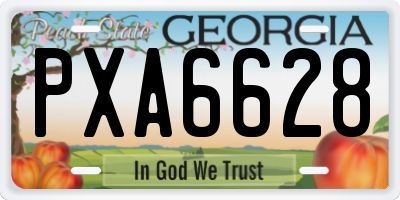 GA license plate PXA6628