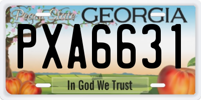 GA license plate PXA6631