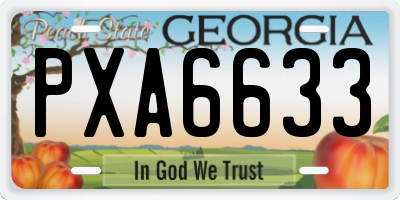 GA license plate PXA6633