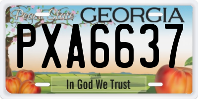 GA license plate PXA6637