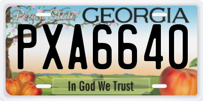 GA license plate PXA6640