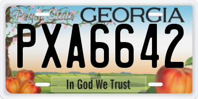 GA license plate PXA6642