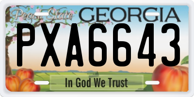GA license plate PXA6643