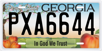 GA license plate PXA6644