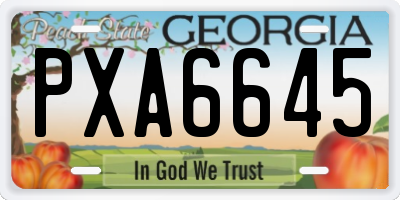 GA license plate PXA6645