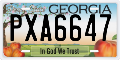 GA license plate PXA6647