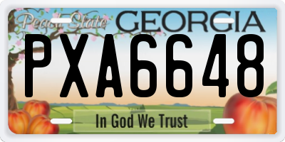 GA license plate PXA6648