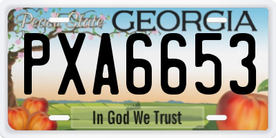 GA license plate PXA6653