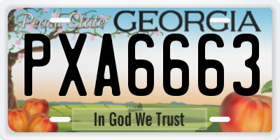 GA license plate PXA6663
