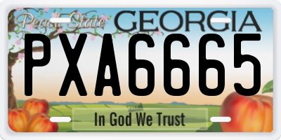 GA license plate PXA6665