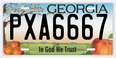GA license plate PXA6667
