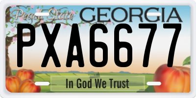 GA license plate PXA6677