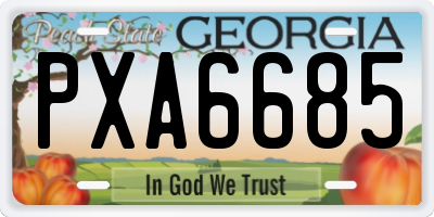 GA license plate PXA6685