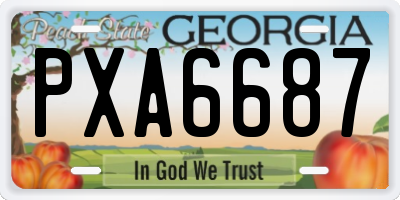 GA license plate PXA6687