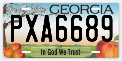 GA license plate PXA6689