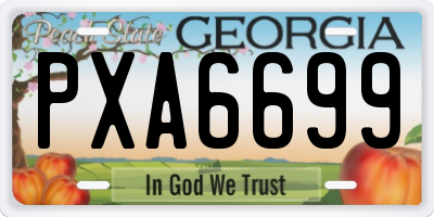 GA license plate PXA6699