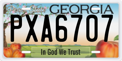 GA license plate PXA6707